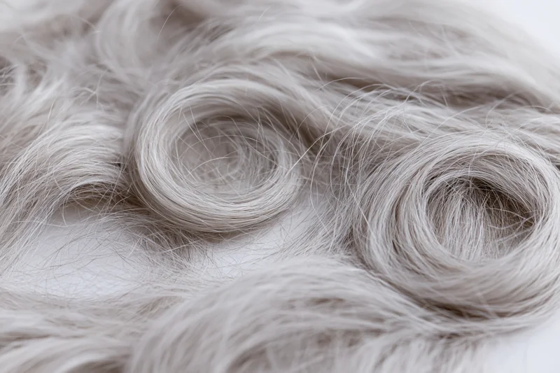 Silver-grey human hair arranged in loose curls on a white background