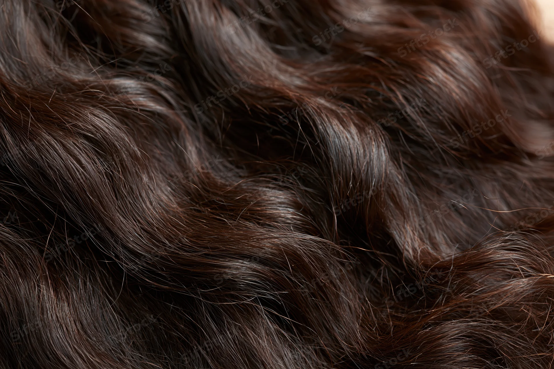 Close-up of thick dark brown wavy hair filling the frame