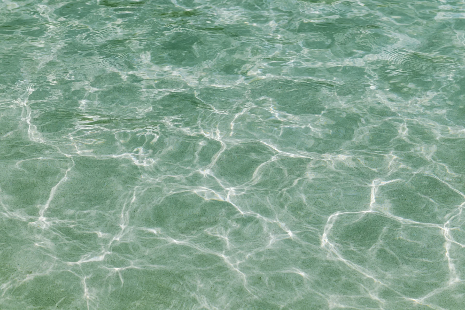 Overhead closeup of shallow pool water surface with ripples and light reflections