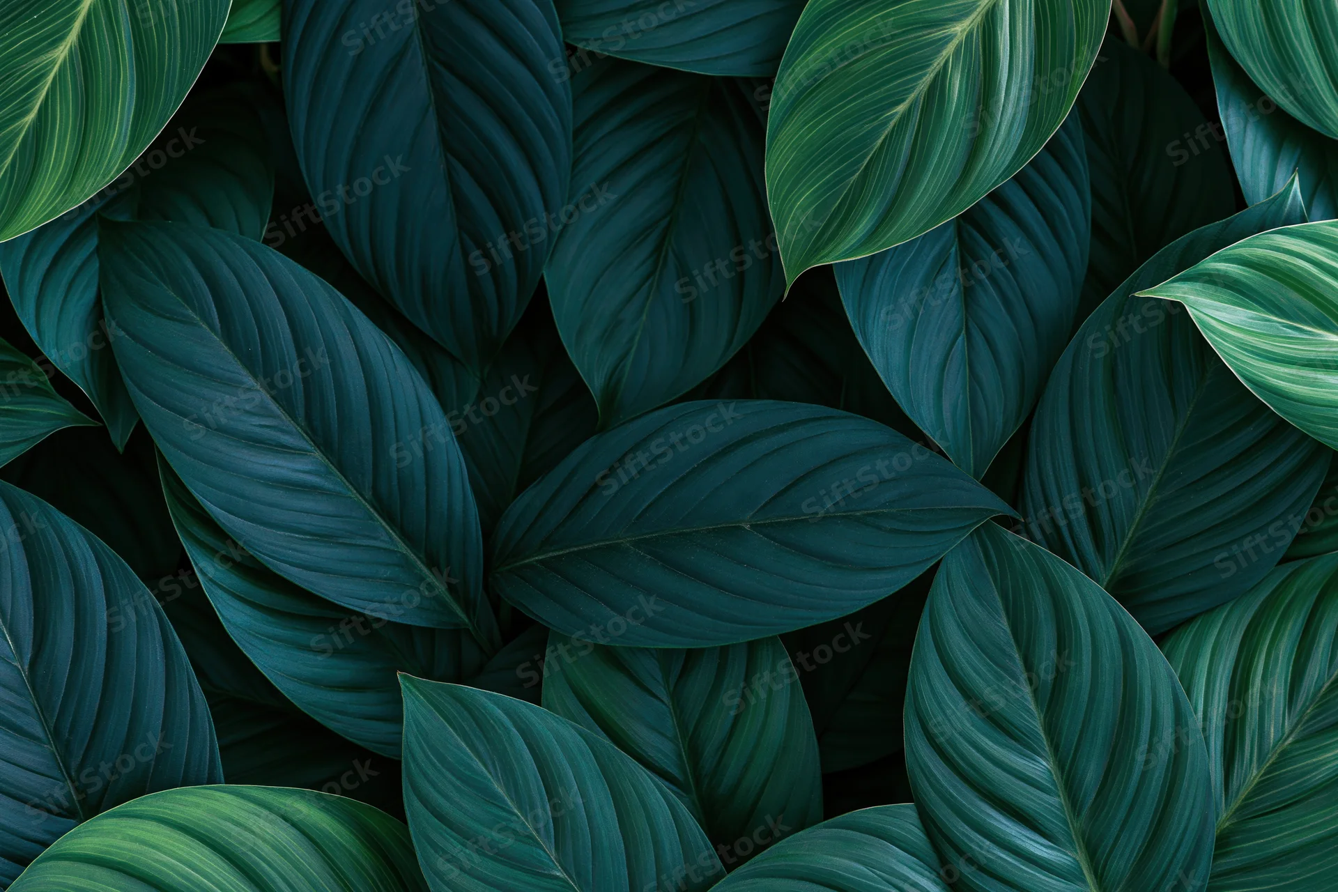 Dense layered tropical leaves filling the frame as a lush green botanical pattern