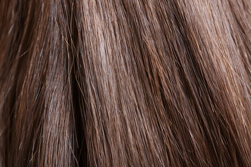 Extreme close-up of straight brown hair strands showing texture and shine