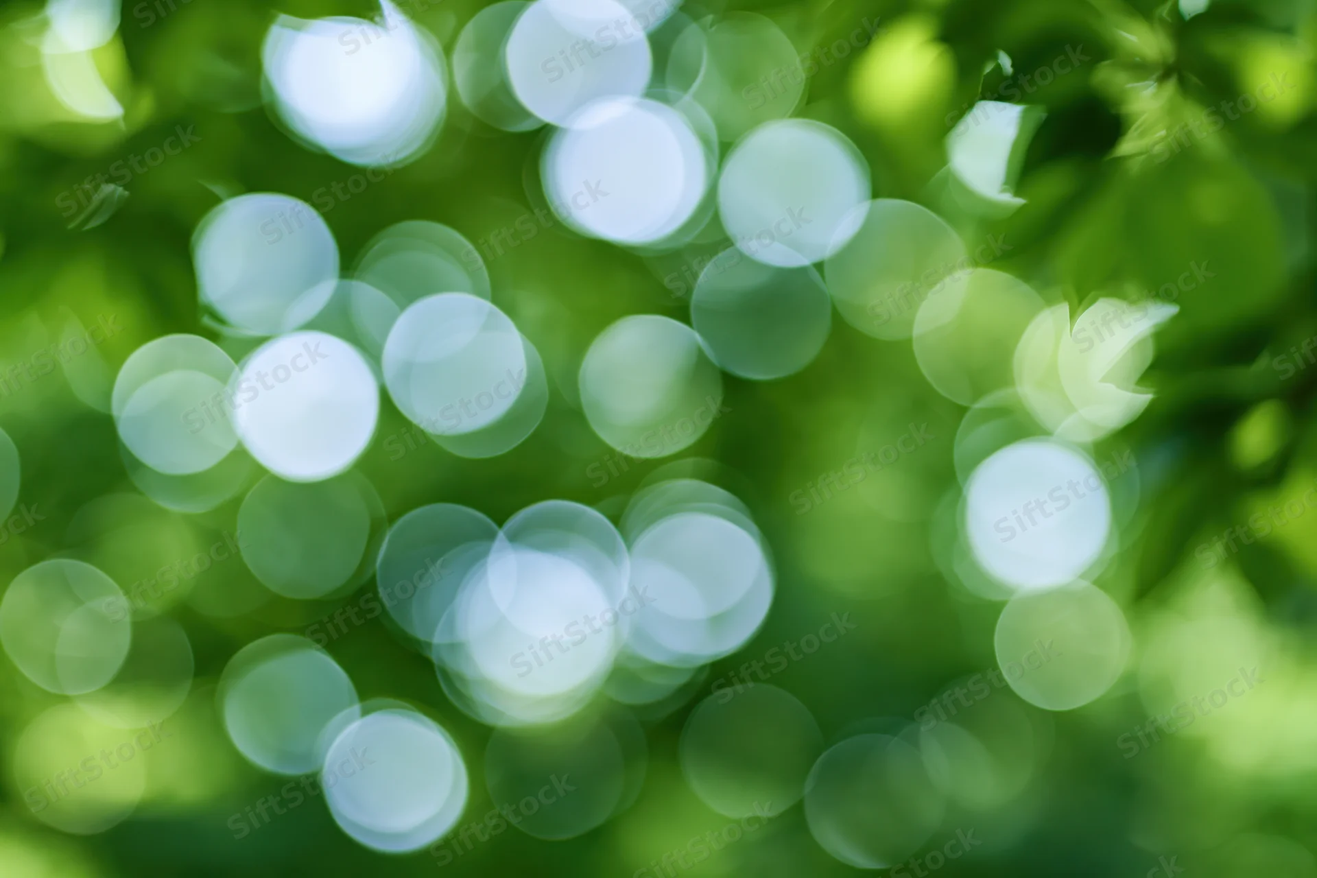 Blurred green foliage with circular bokeh light spots from sunlight filtering through leaves outdoors