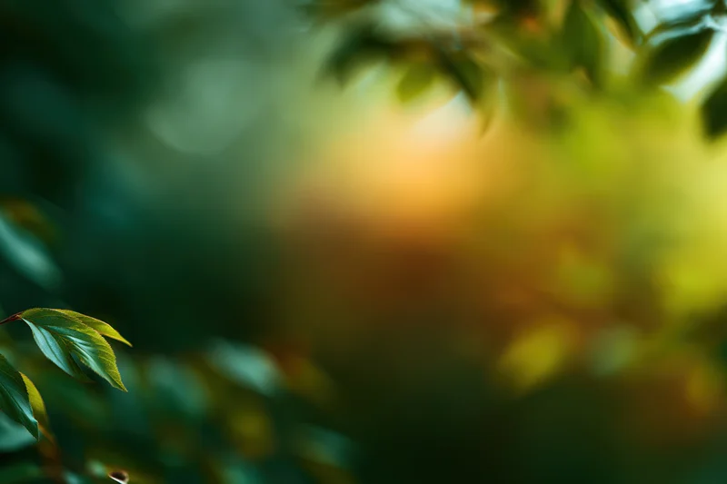 Sunlit leaves in soft focus with blurred green foliage and warm light in the background