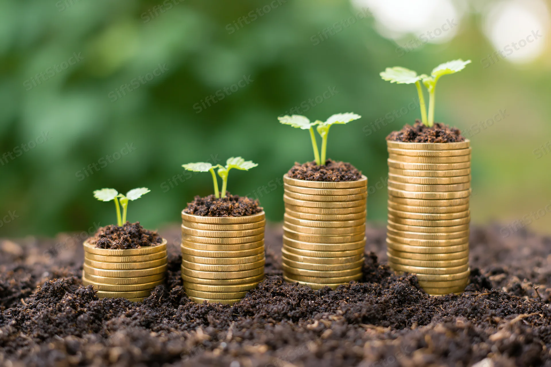 Stacks of gold coins with sprouting plants in soil arranged in ascending order outdoors