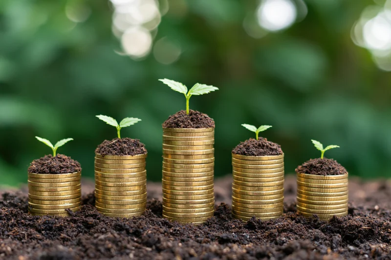 Stacks of gold coins with sprouting plants in soil arranged in ascending height on dark earth background