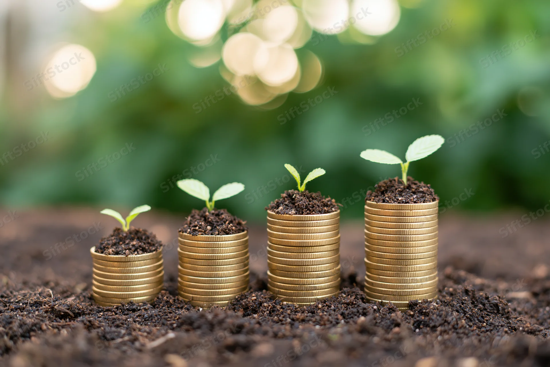 Four stacks of gold coins with soil and seedlings growing on top, arranged in ascending height on dark soil with blurred green background
