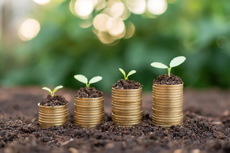 Four stacks of gold coins with soil and seedlings growing on top, arranged in ascending height on dark soil with blurred green background