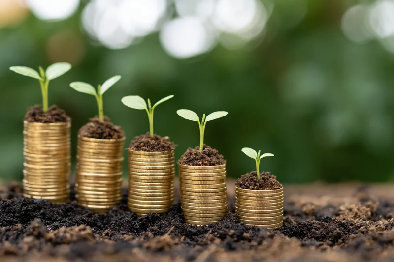 Five stacks of gold coins with seedlings growing from soil on a wooden surface, arranged in ascending height against a blurred green background