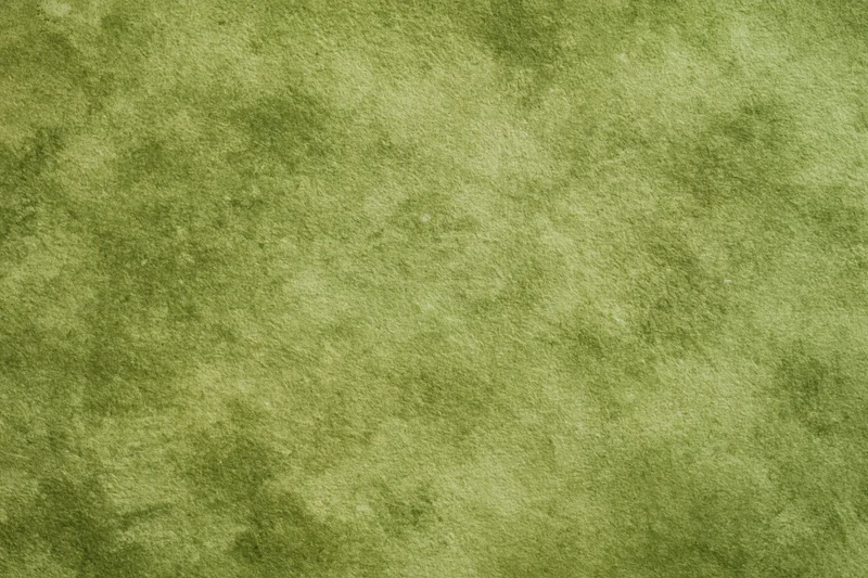 Flat lay close-up of a mottled green painted canvas or paper