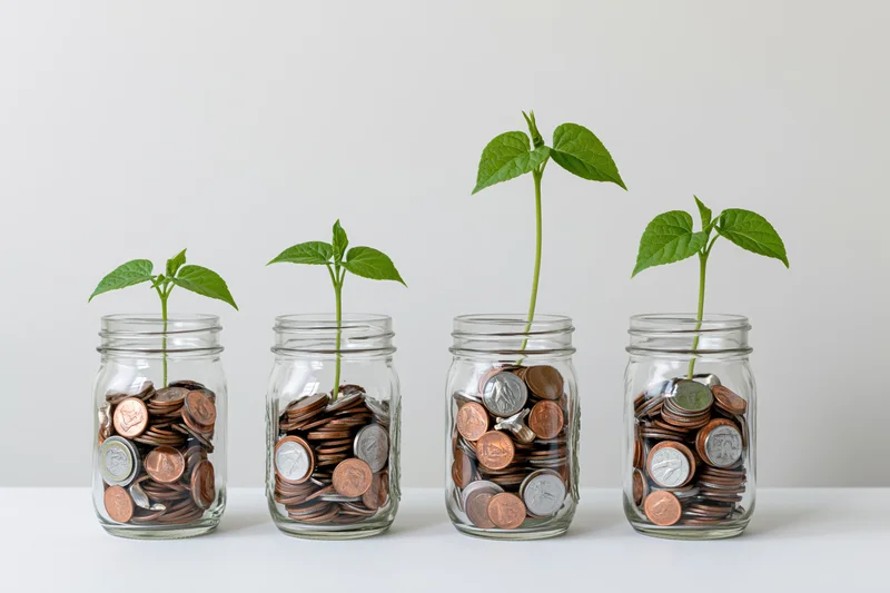Four glass jars filled with coins and growing green plants arranged in a row on a white surface
