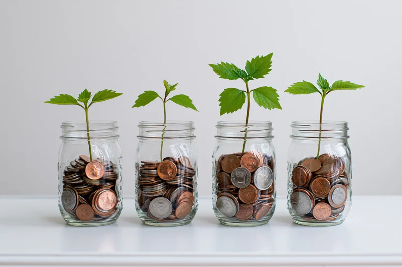 Four glass jars filled with coins and growing green plants arranged in a row on a white surface