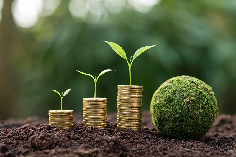 Seedlings growing from stacks of coins in soil beside a moss-covered sphere