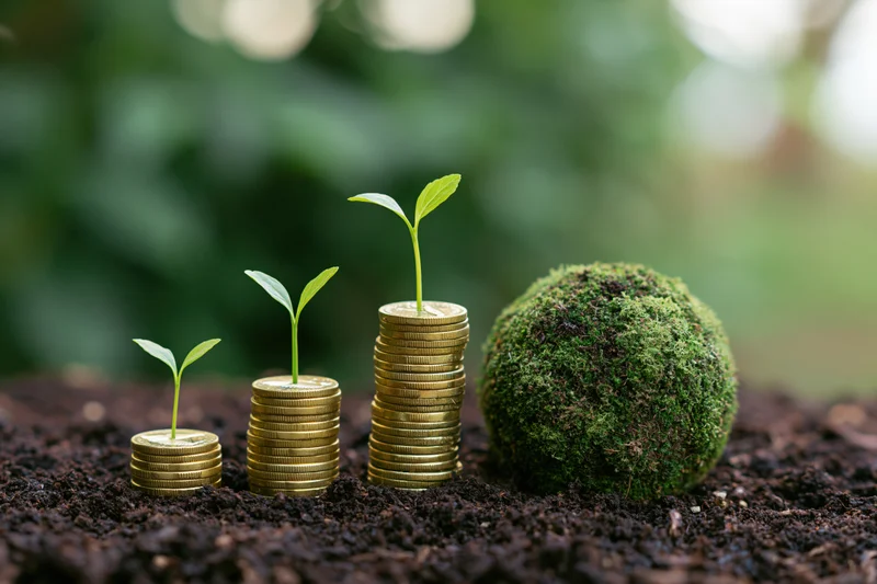 Seedlings growing from stacks of coins in soil beside a moss-covered sphere