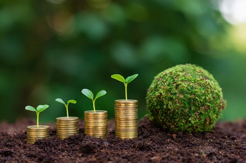 Seedlings growing from stacks of coins in soil beside a moss-covered sphere