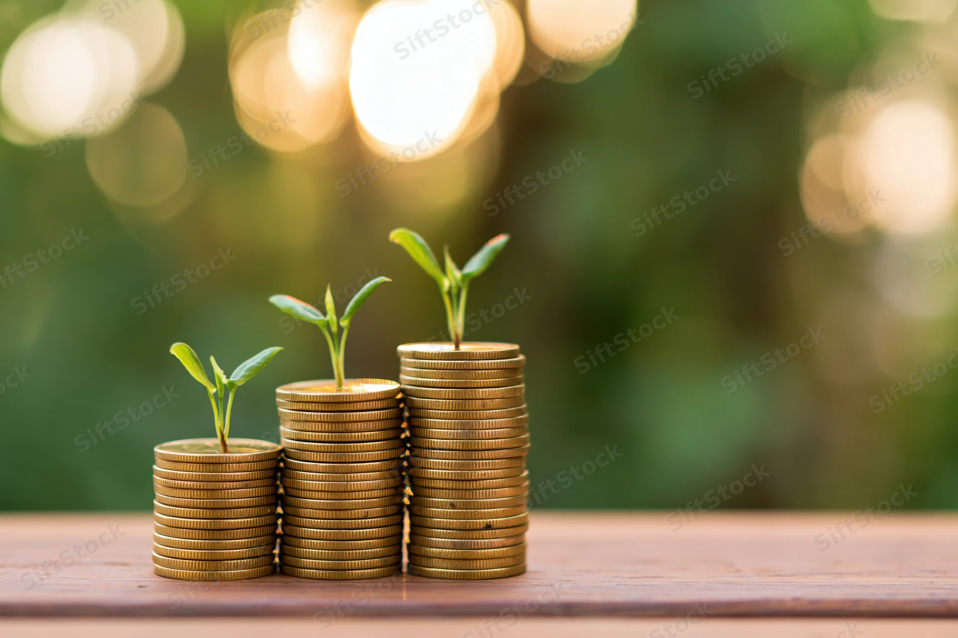 Stacks of gold coins with growing plants on top arranged in ascending height on a wooden table outdoors