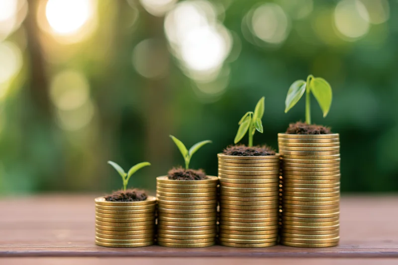Four stacks of gold coins with plants growing from soil on top arranged in ascending height on wooden table outdoors