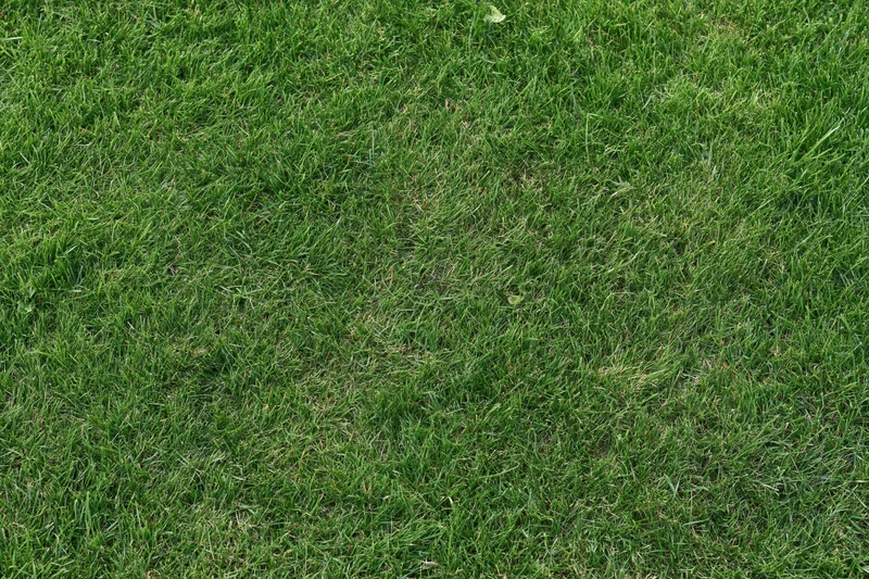 Freshly mowed short grass lawn filling the frame flat