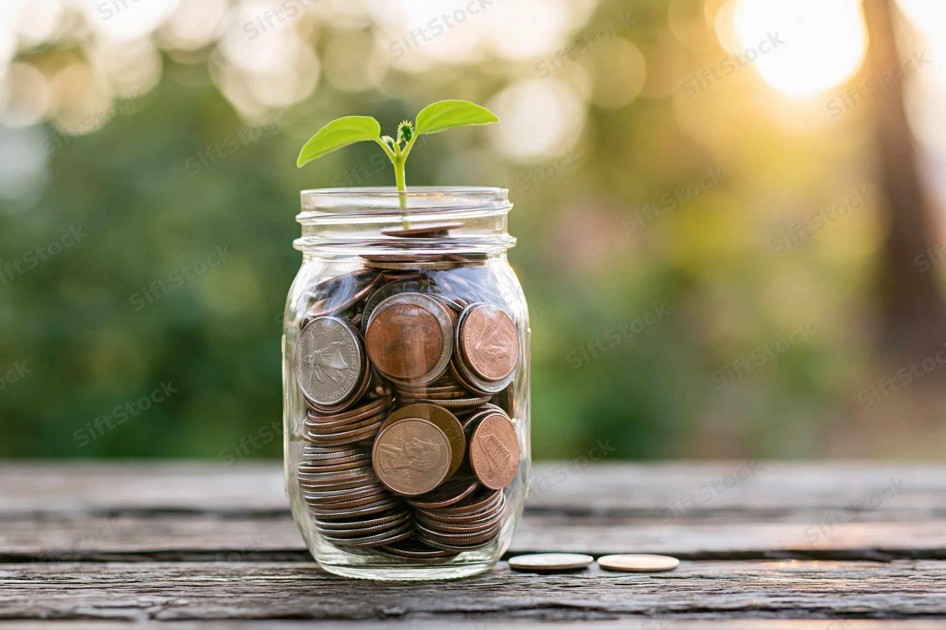 Glass jar filled with coins and a small green sprout on a wooden table outdoors