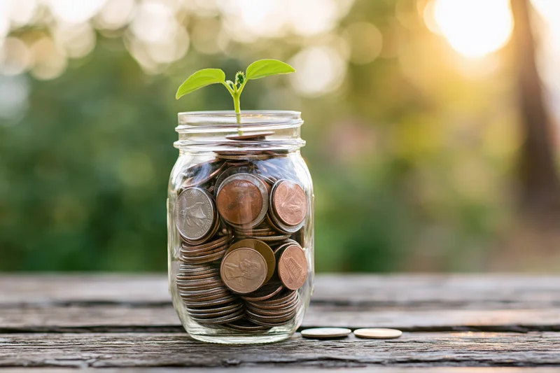 Glass jar filled with coins and a small green sprout on a wooden table outdoors