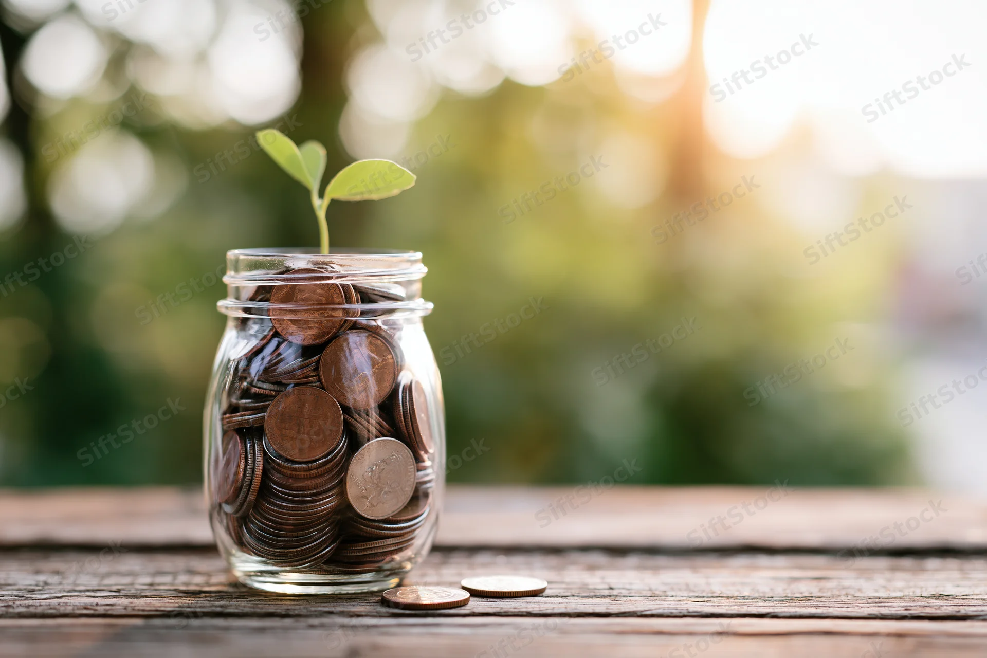 Glass jar filled with coins and a small green sprout on a wooden table outdoors
