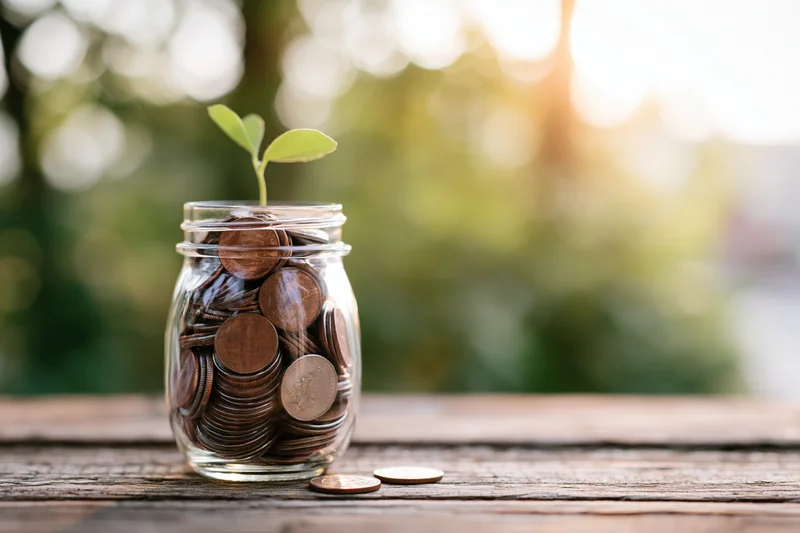 Glass jar filled with coins and a small green sprout on a wooden table outdoors