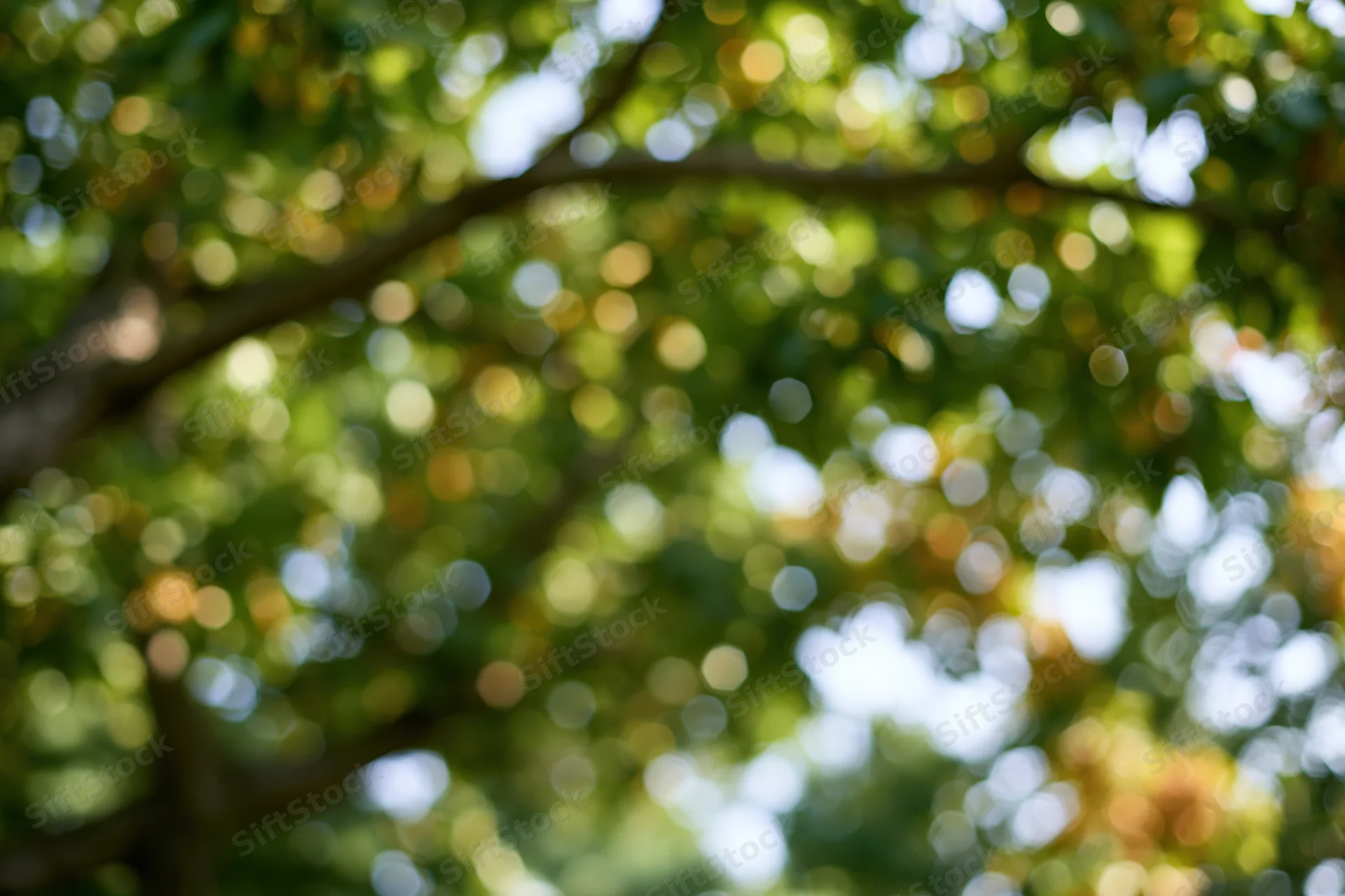 Defocused tree canopy with dappled sunlight filtering through green leaves in a natural outdoor setting