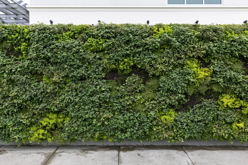 Large rectangular living green wall mounted on the exterior of a modern building facade