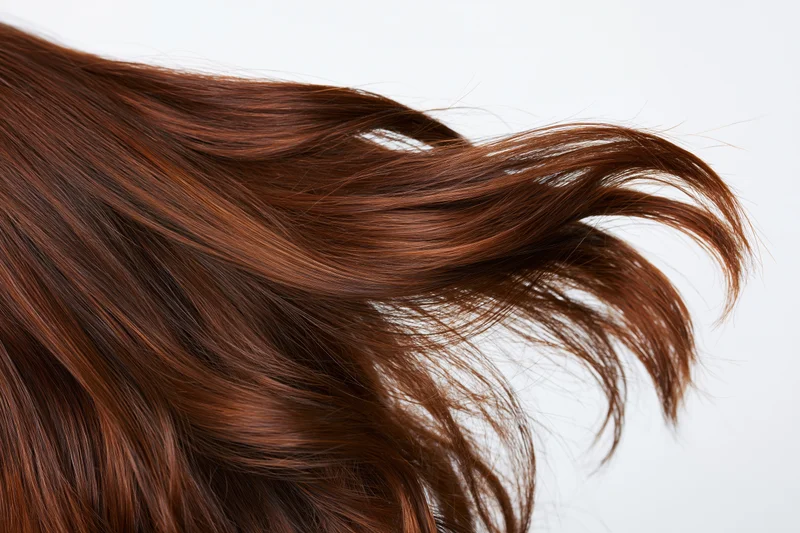 Long brown wavy hair flowing in motion against white background