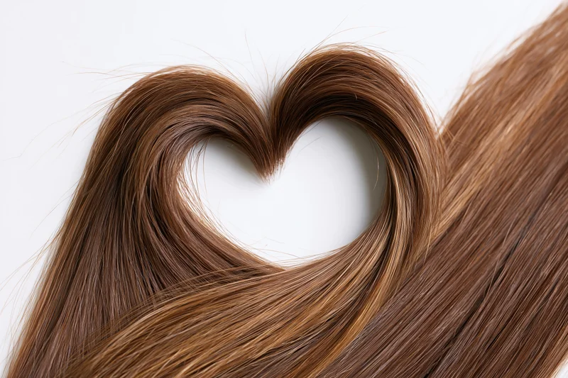 Long glossy brown hair arranged in a heart shape against a white background