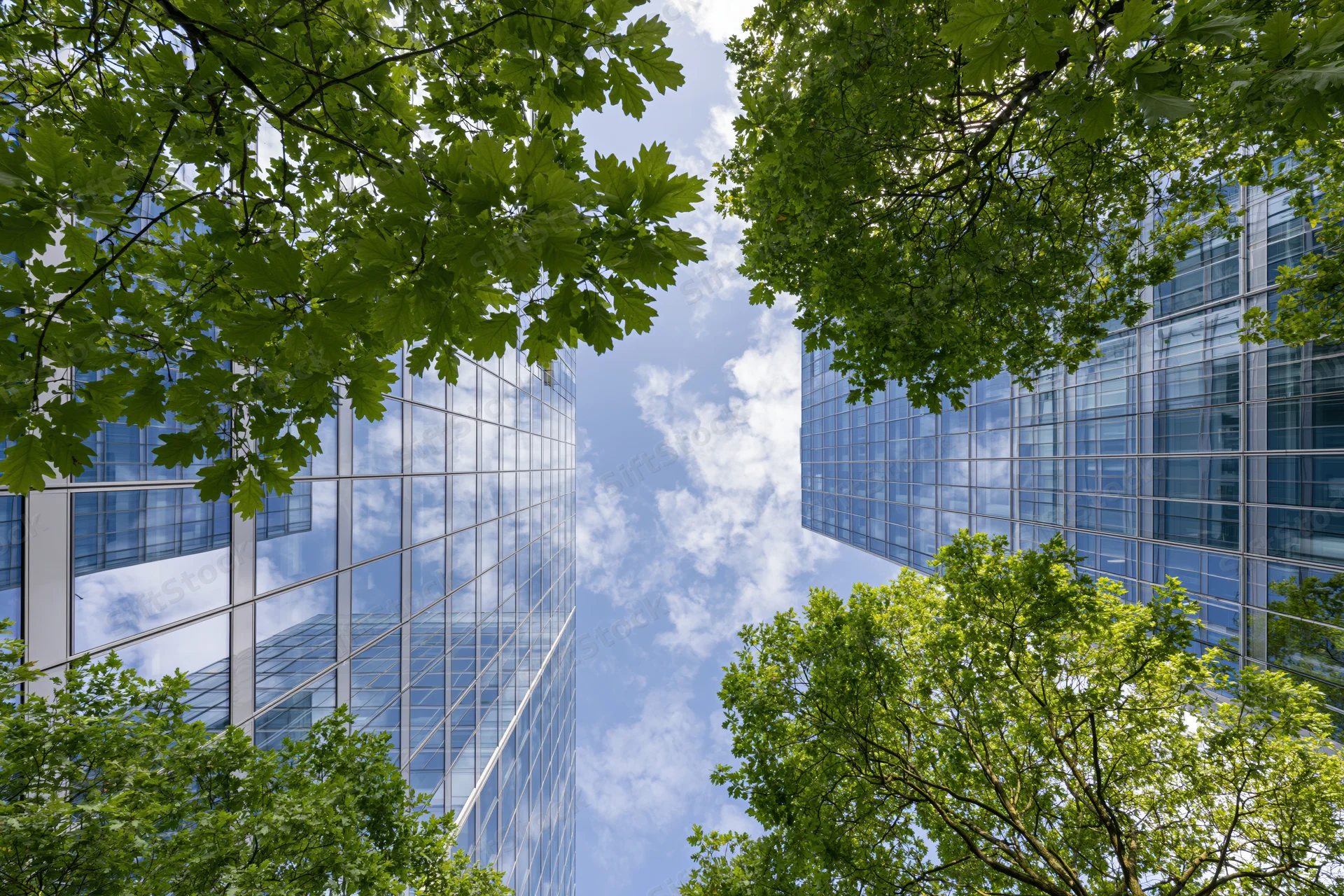 Upward view between two modern glass skyscrapers framed by green trees against a blue sky