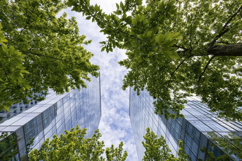 Low-angle view of two modern glass skyscrapers framed by green tree branches against a blue sky