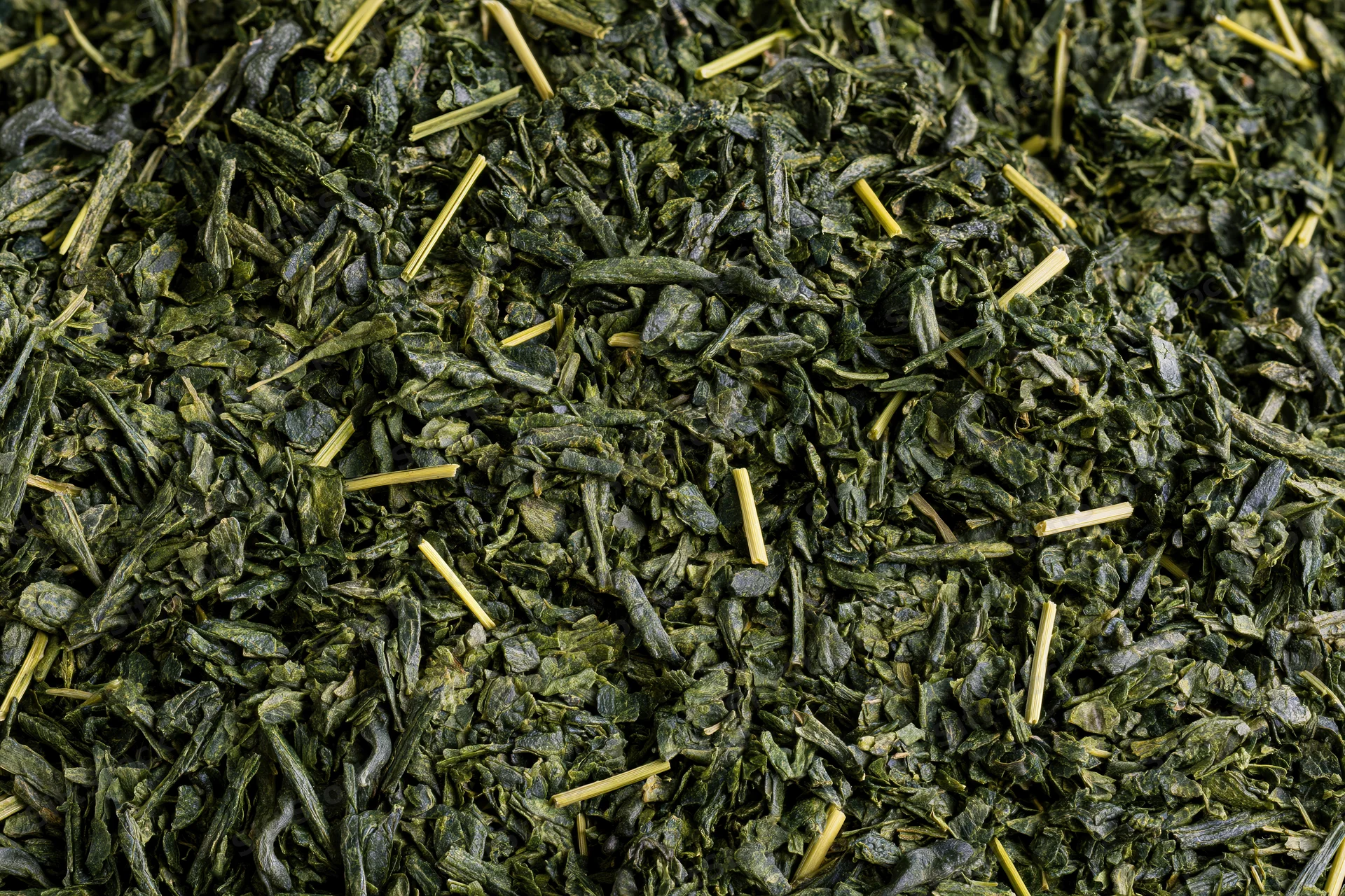 Loose dried green tea leaves spread flat filling the entire frame