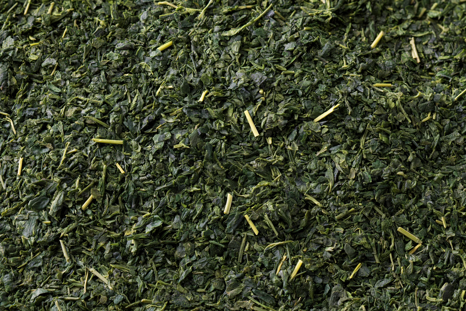 Dried green tea leaves spread flat filling the frame