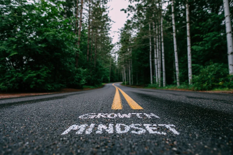 Winding asphalt road with growth mindset painted on surface through forest