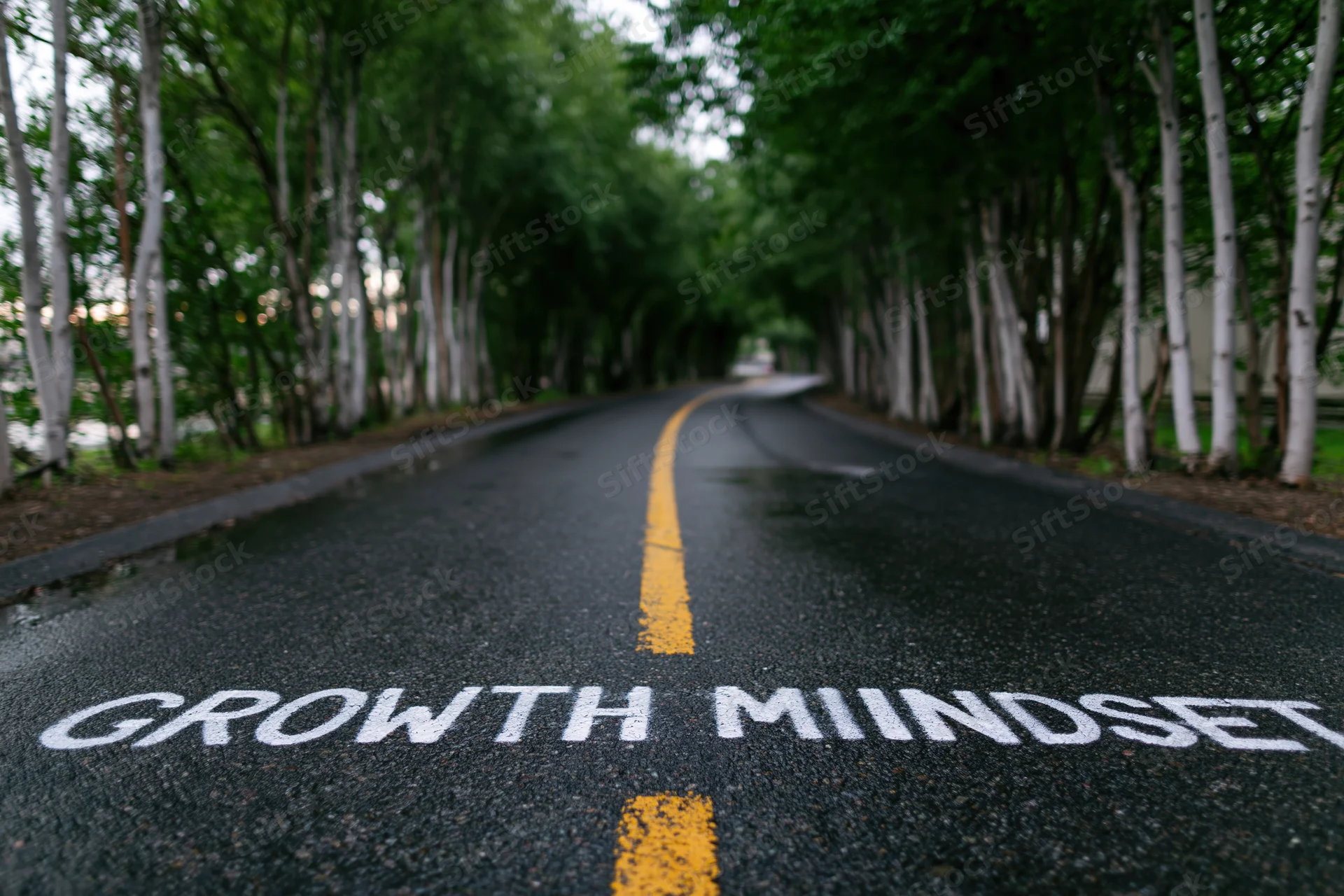 Asphalt road curving through birch trees with growth mindset painted on surface