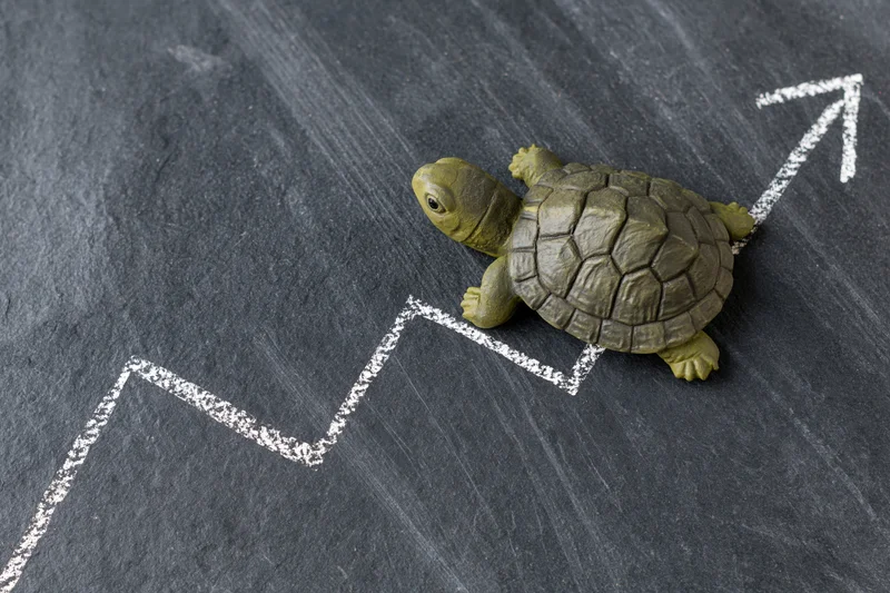 Small green turtle figurine positioned on a chalkboard with a white upward arrow drawn beneath it