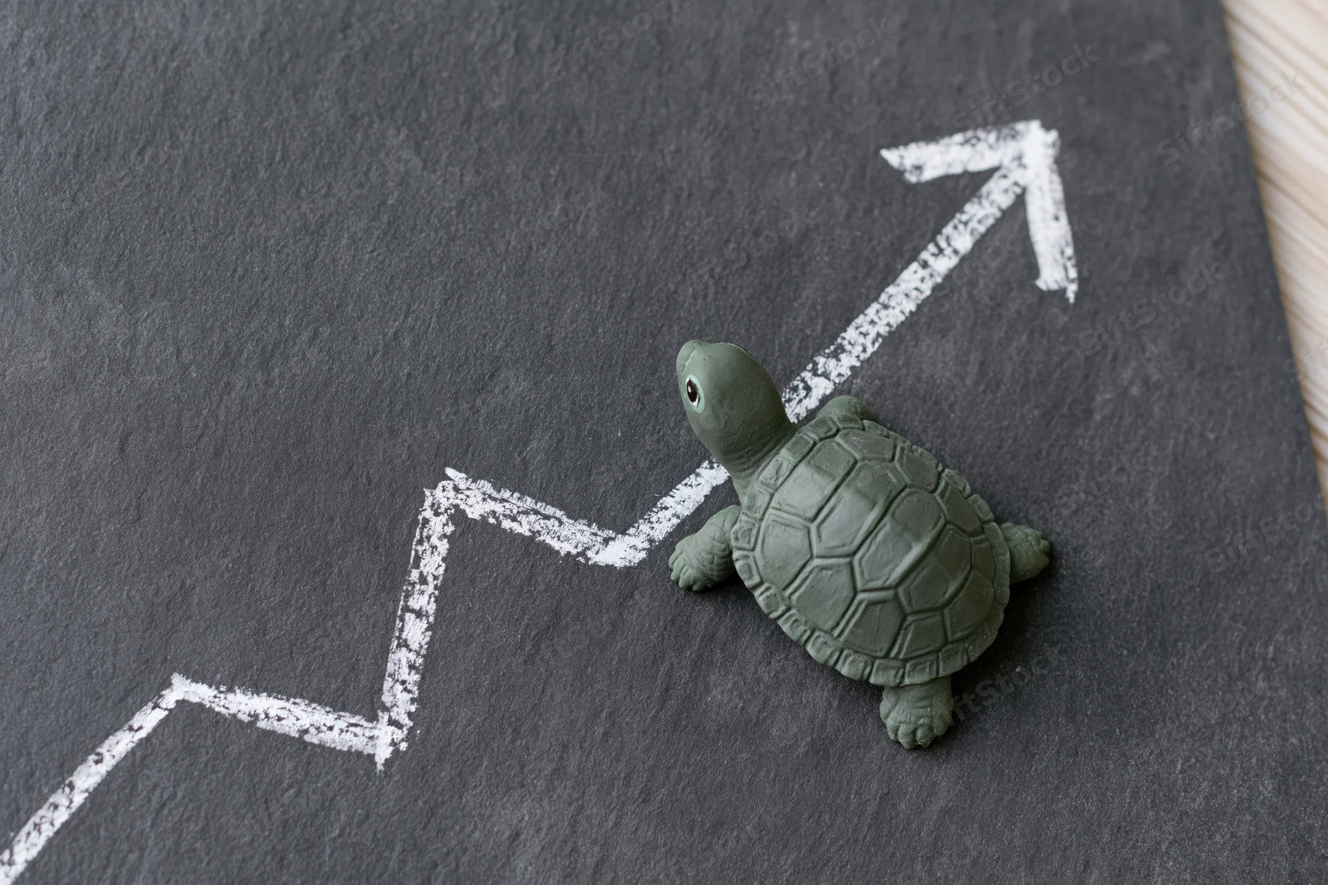 Small green painted turtle figurine on dark chalkboard surface with white chalk arrow chart pointing upward