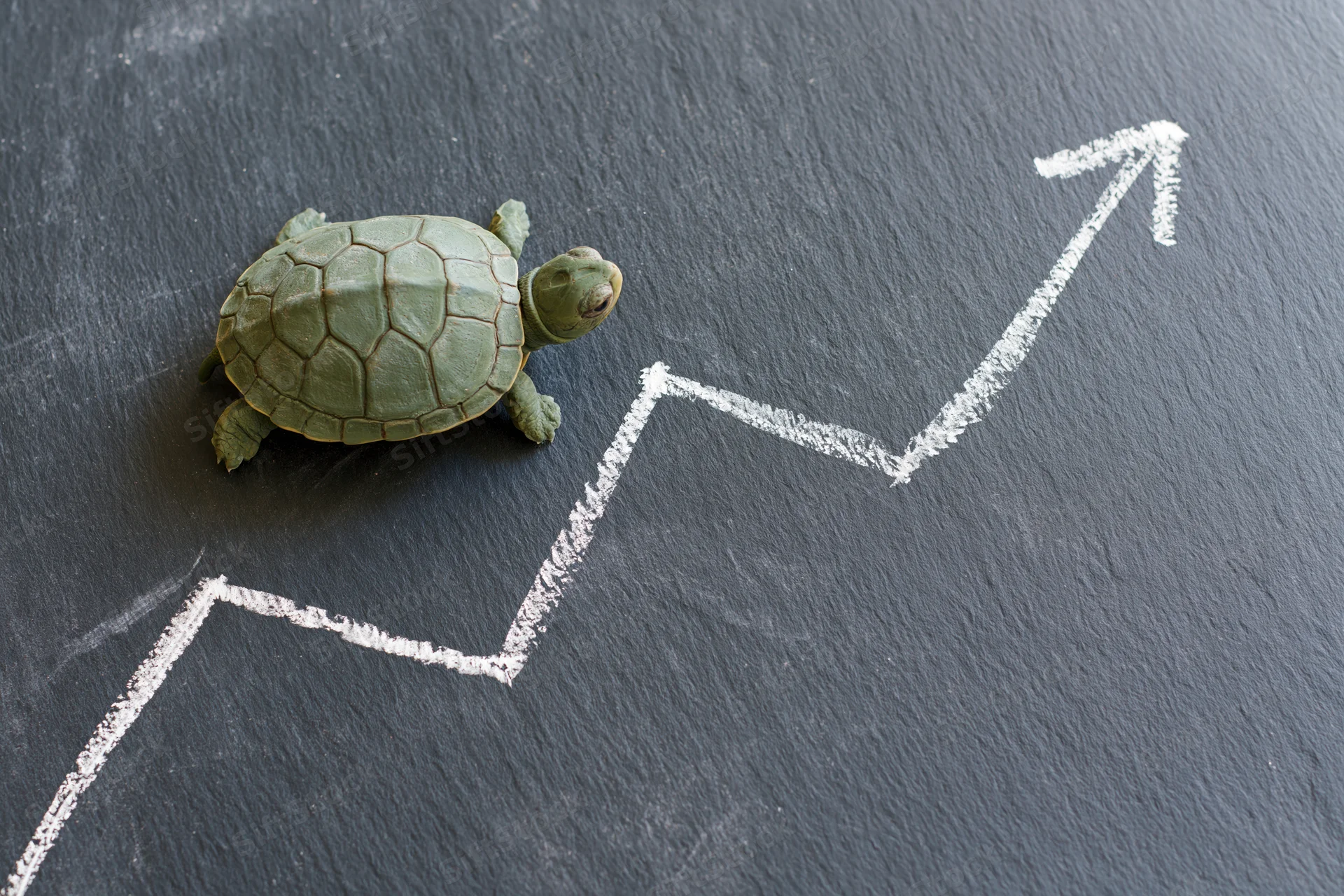 Small green turtle positioned beside a white chalk arrow trending upward on a dark chalkboard surface