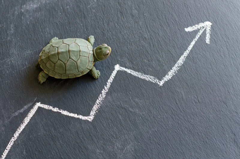 Small green turtle positioned beside a white chalk arrow trending upward on a dark chalkboard surface