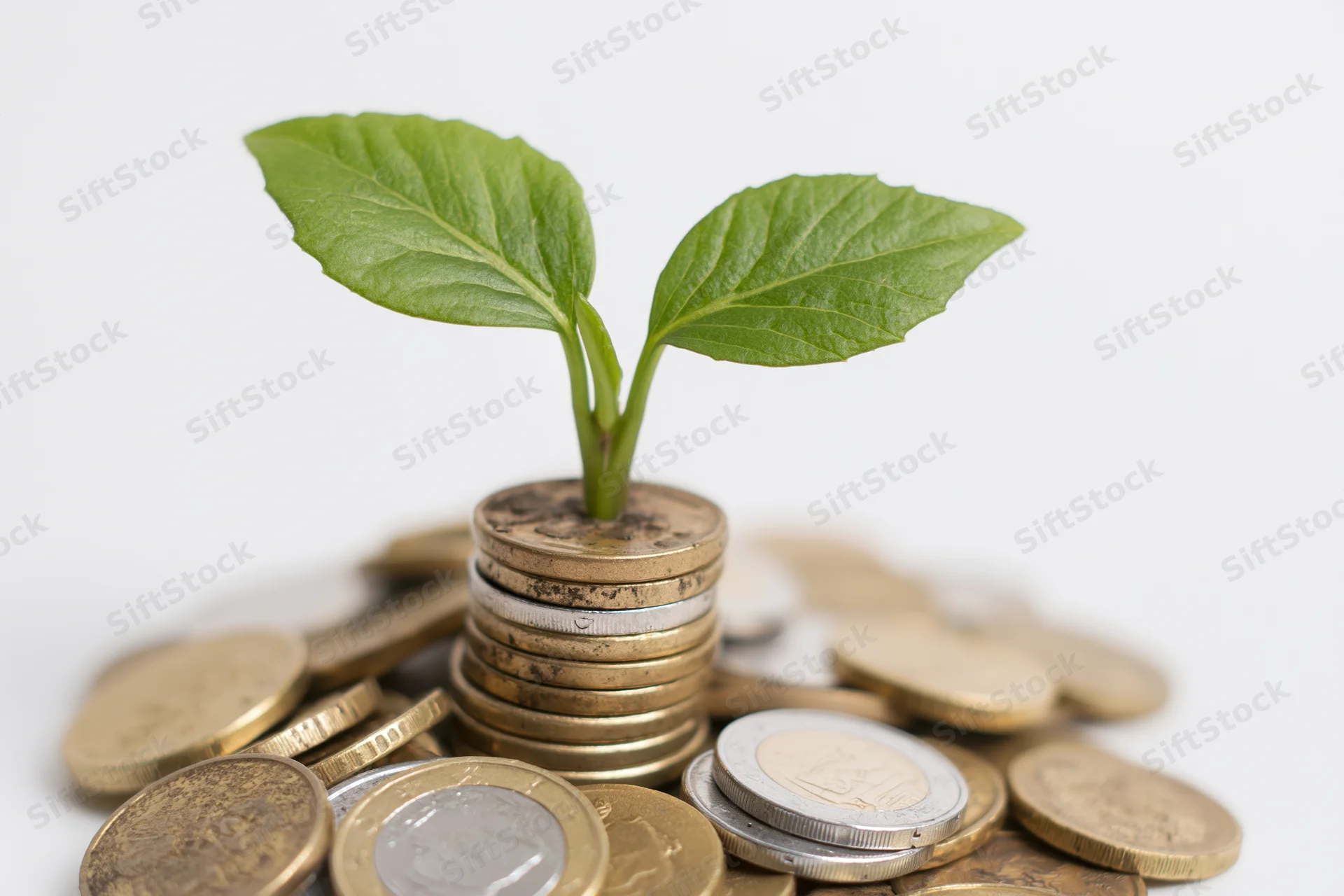 Small green plant sprouting from a stack of coins on a white background