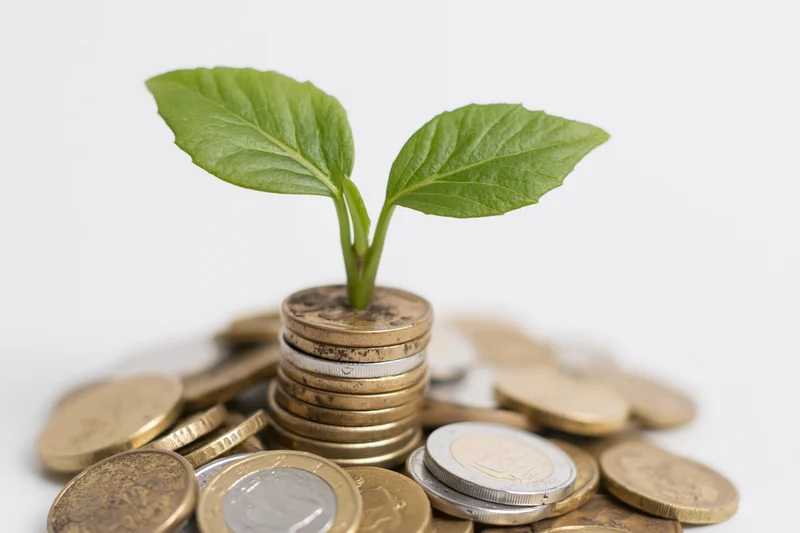 Small green plant sprouting from a stack of coins on a white background