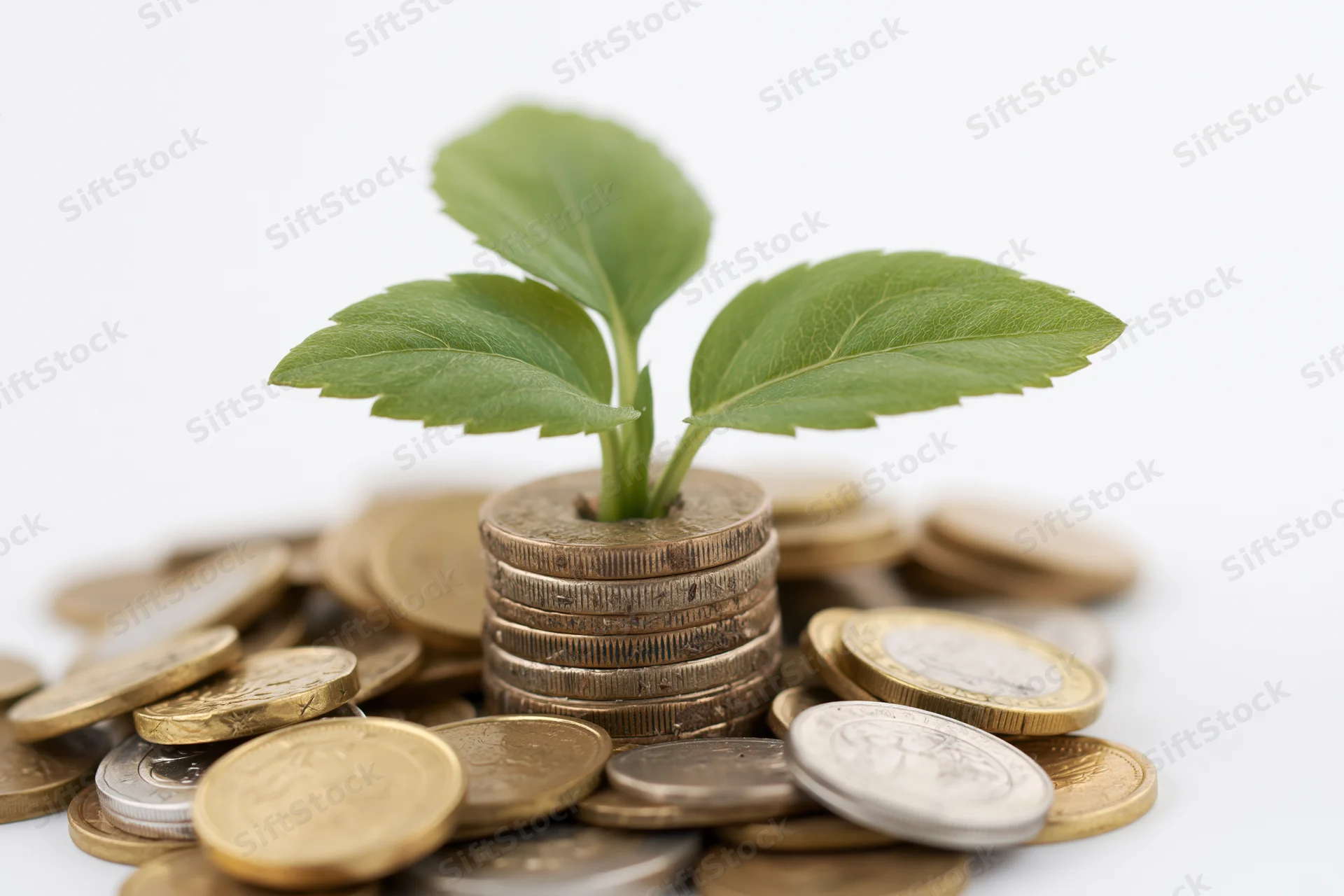 Small green plant sprouting from a stack of coins on a white background