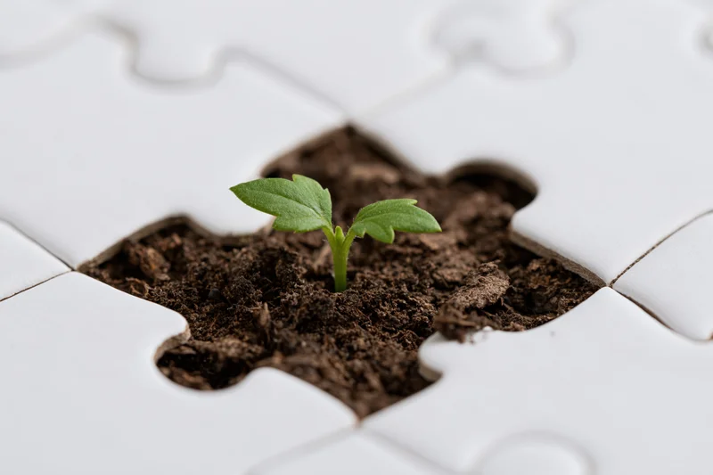 Small green seedling sprouting from soil in a missing piece of a white jigsaw puzzle