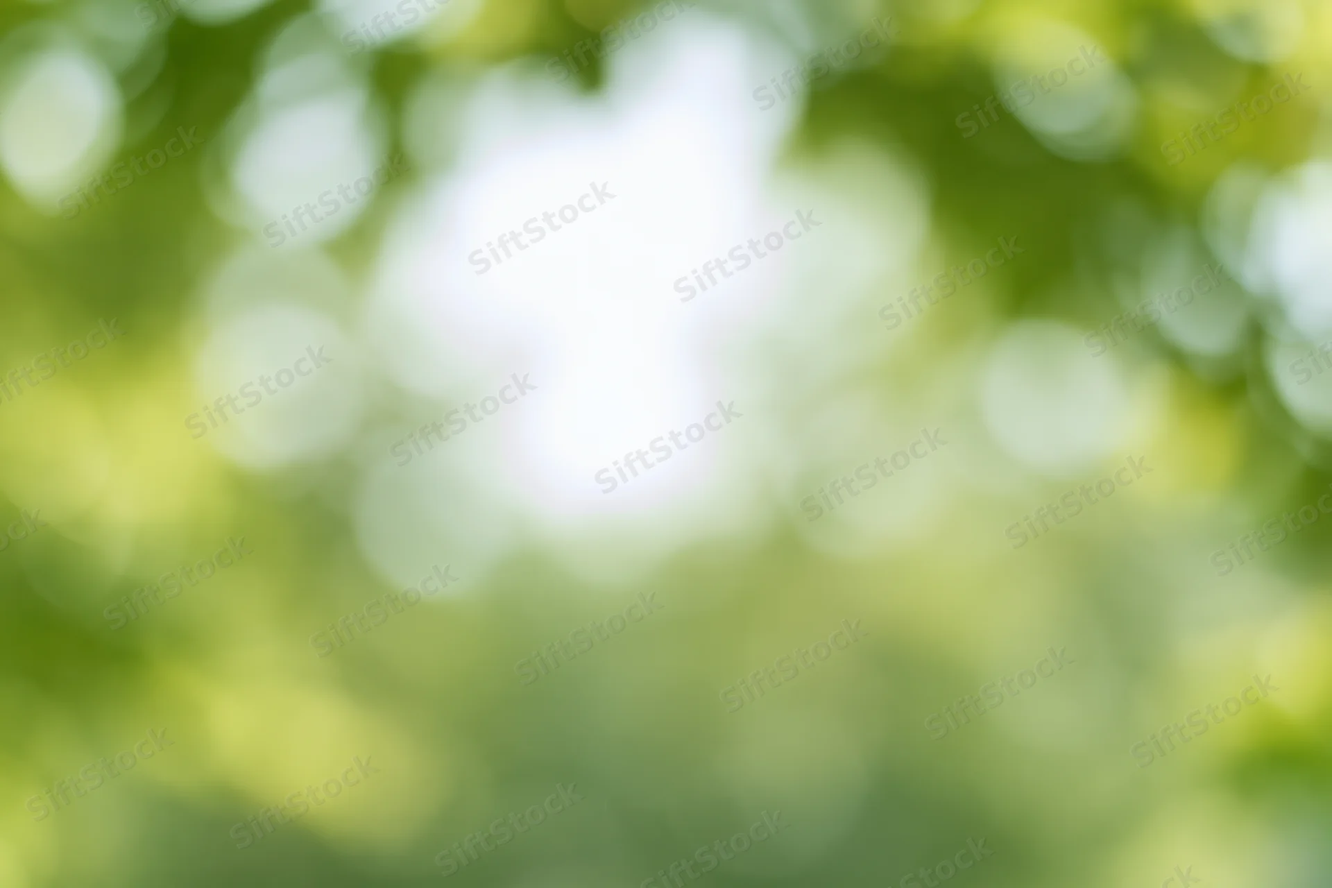 Blurred green foliage with sunlight filtering through trees outdoors
