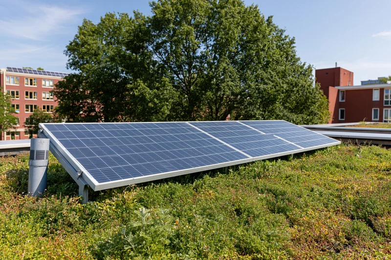 Solar panels installed on a green sedum rooftop surrounded by trees and brick buildings