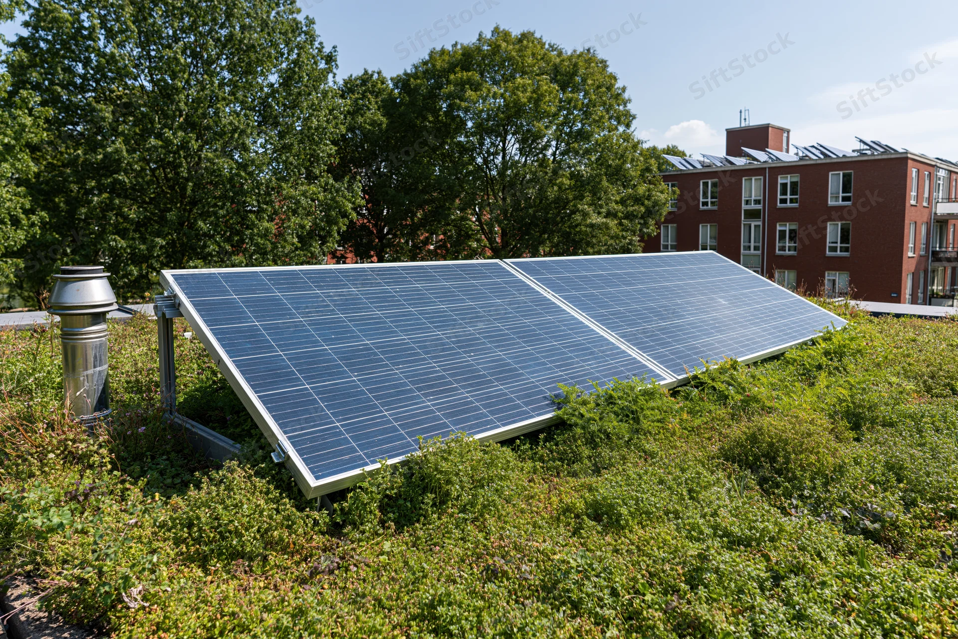 Solar panels mounted on a green sedum rooftop with trees and residential buildings in the background