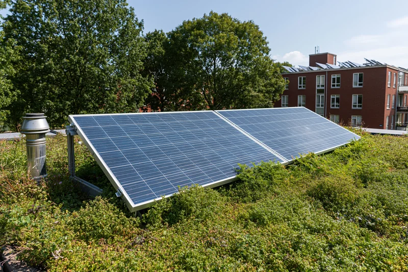 Solar panels mounted on a green sedum rooftop with trees and residential buildings in the background
