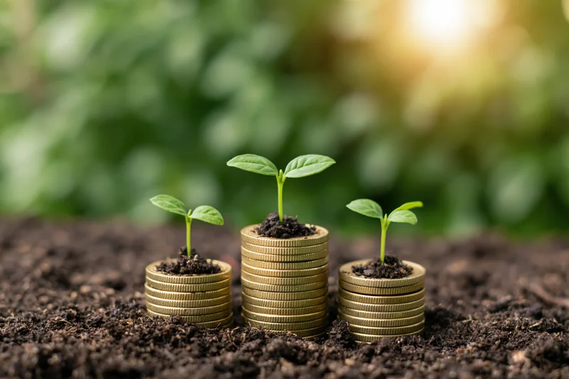 Three green seedlings growing from stacks of gold coins in soil with blurred green foliage and sunlight in background