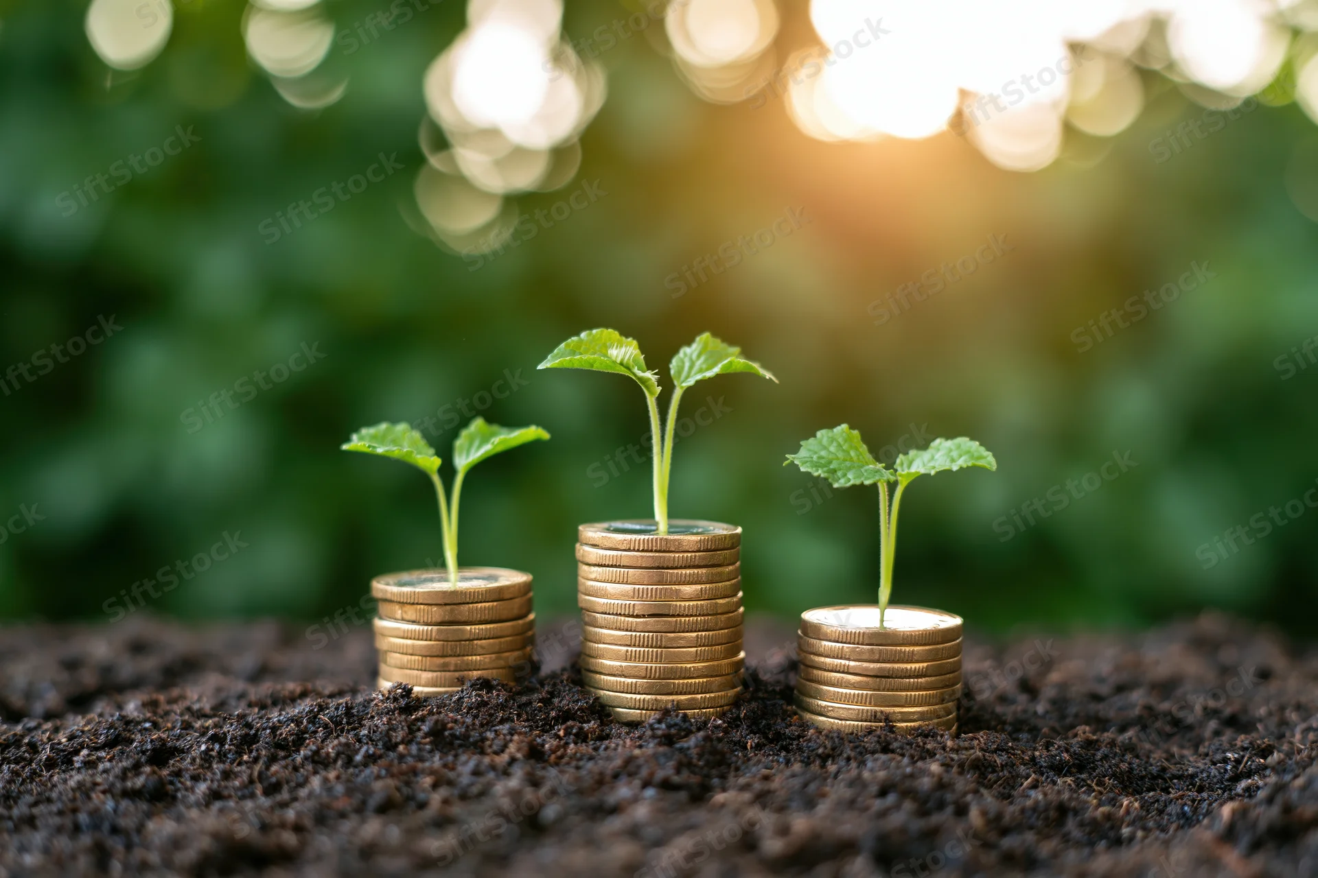 Three green seedlings growing from stacks of gold coins in soil with blurred greenery and sunlight in the background