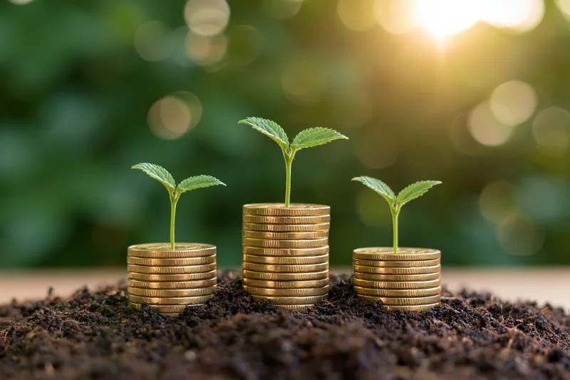 Three green seedlings growing from stacks of gold coins in soil with blurred green background and sunlight